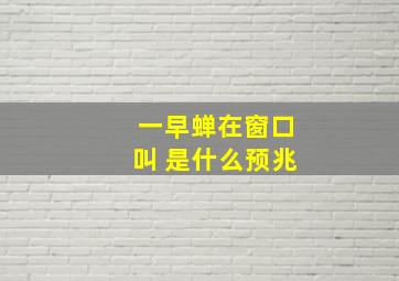 一早蝉在窗口叫 是什么预兆